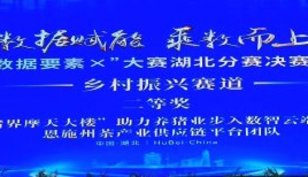 从一片茶叶洞察一个行业——恩施联通荣获“数据要素×”大赛二等奖