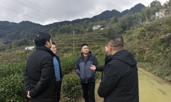 倾听来自大山深处的声音，让通信服务没有壁垒